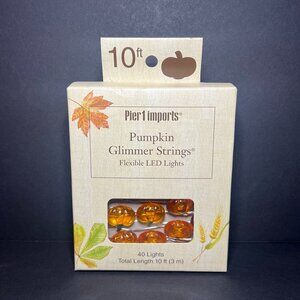 NIB Pier 1 Imports Halloween 10ft Pumpkin Glimmer Strings 40 Flexible LED Lights